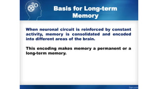 Basis for Long-term
Memory
When neuronal circuit is reinforced by constant
activity, memory is consolidated and encoded
into different areas of the brain.
This encoding makes memory a permanent or a
long-term memory.
 
