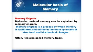 PHYSIOLOGY & TYPES OF LEARNING & MEMORY.pptx