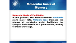 Molecular basis of
Memory
Molecular Basis of Facilitation
In this process, the neurotransmitter serotonin
plays major role. Calcium ions increase the
release of serotonin, which facilitates the
synaptic transmission to a great extent, leading
to memory storage.
 