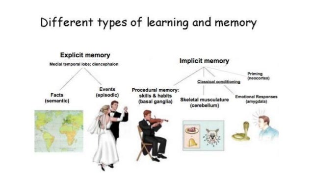 Learning & memory 2013