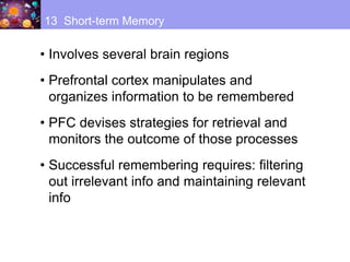 • Involves several brain regions
• Prefrontal cortex manipulates and
organizes information to be remembered
• PFC devises strategies for retrieval and
monitors the outcome of those processes
• Successful remembering requires: filtering
out irrelevant info and maintaining relevant
info
13 Short-term Memory
 