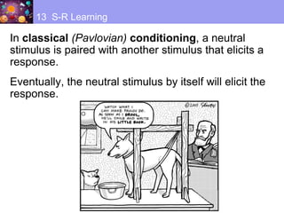 In classical (Pavlovian) conditioning, a neutral
stimulus is paired with another stimulus that elicits a
response.
Eventually, the neutral stimulus by itself will elicit the
response.
13 S-R Learning
 