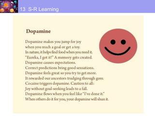 13 S-R Learning
 