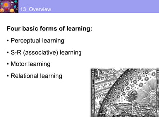 13 Overview
Four basic forms of learning:
• Perceptual learning
• S-R (associative) learning
• Motor learning
• Relational learning
 