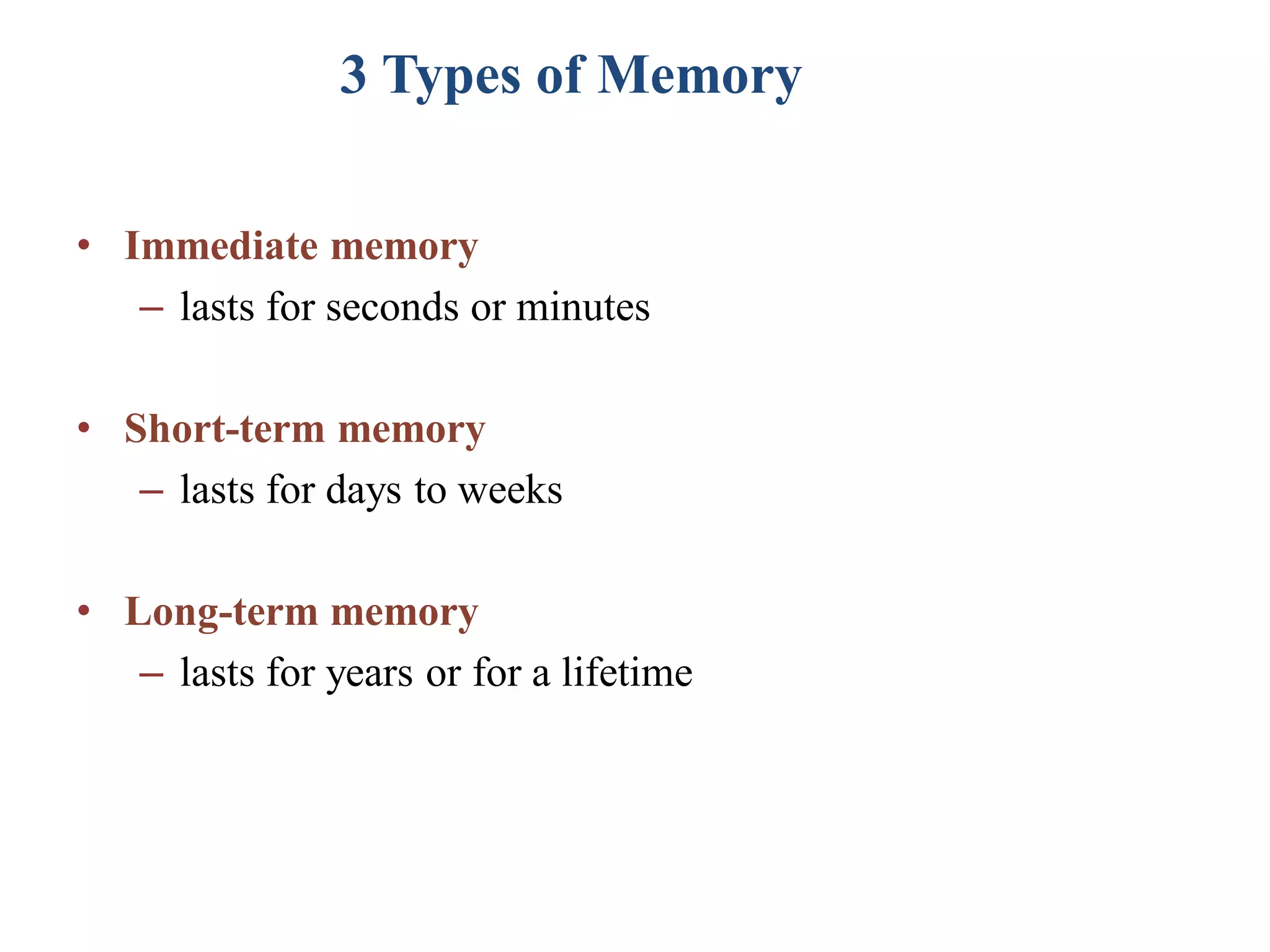 Cerebral Cortex, Intellectual Functions of the Brain, Learning, and ...