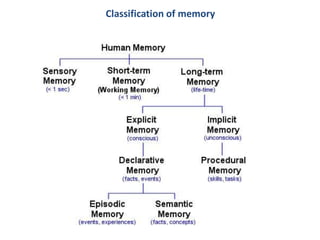 Memory Classification Chart Cerebral Cortex, Intellectual Functions of the Brain, Learning, and ...