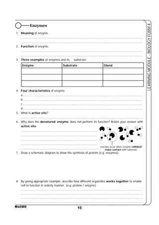 Enzyme Substrate Gland 
16 
LEARNING MODULE - BIOLOGY FORM 4 
Min2009 
reaction occur when enzyme collided/ 
make contact with substrate. 
Enzymes 
1. Meaning of enzyme. 
......................................................................................................................................... 
......................................................................................................................................... 
2. Function of enzyme. 
......................................................................................................................................... 
......................................................................................................................................... 
3. Three examples of enzymes and its substrate: 
4. Four characteristics of enzyme: 
a ...................................................................................................................................... 
b ...................................................................................................................................... 
c ...................................................................................................................................... 
d ...................................................................................................................................... 
5. What is active site? 
......................................................................................................................................... 
6. Why does the denatured enzyme does not perform its function? Relate your answer with 
active site. 
...................................................................................... 
...................................................................................... 
...................................................................................... 
...................................................................................... 
...................................................................................... 
7. Draw a schematic diagram to show the synthesis of protein (e.g. enzymes). 
8. By giving appropriate example, describe how different organelles works together to enable 
cell to function in orderly manner. (e.g. protein / enzyme) 
......................................................................................................................................... 
......................................................................................................................................... 
......................................................................................................................................... 
......................................................................................................................................... 
 