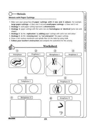 Meiosis with Paper Cuttings 
1. Make sure your group have 8 paper cuttings with 2 size and 2 colours. For example, 
large paper cuttings —2 blue and 2 red and small paper cuttings —2 blue and 2 red. 
2. Analogy 1: each paper cutting represent a chromosome. 
3. Analogy 2: paper cuttings with the same size are homologous or identical (same size and 
shape). 
4. Analogy 3: do the replication by adding paper cuttings with same size and colour. 
5. Analogy 4: do the crossing over by “cut and paste” the paper cuttings. 
6. Draw a cell, nucleus membrane and spindle fiber on the table by using chalk. 
7. Follow your teacher’s instruction and complete the worksheet for this activity. 
1 2 3 4 
5 6 
23 
LEARNING MODULE - BIOLOGY FORM 4 
Min2009 
Meiosis 
Worksheet 
Interphase Prophase I Metaphase I Anaphase I 
Telophase I Prophase II 
Metaphase II Anaphase II 
7 8 
 