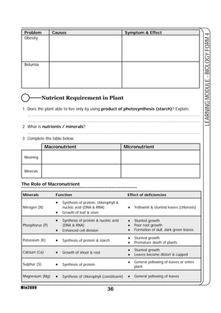 Problem Causes Symptom & Effect 
Obesity 
Belumia 
Nutrient Requirement in Plant 
1 Does the plant able to live only by using product of photosynthesis (starch)? Explain. 
............................................................................................................................................ 
............................................................................................................................................ 
2 What is nutrients / minerals? 
............................................................................................................................................ 
3 Complete the table below. 
Macronutrient Micronutrient 
Meaning 
Minerals 
The Role of Macronutrient 
Minerals Function Effect of deficiencies 
36 
LEARNING MODULE - BIOLOGY FORM 4 
Nitrogen (N) 
Min2009 
• Synthesis of protein, chlorophyll & 
nucleic acid (DNA & RNA) 
• Growth of leaf & stem 
♦ Yellowish & stunted leaves (chlorosis) 
Phosphorus (P) 
• Synthesis of protein & nucleic acid 
(DNA & RNA) 
• Enhanced cell division 
♦ Stunted growth 
♦ Poor root growth 
♦ Formation of dull, dark green leaves 
Potassium (K) • Synthesis of protein & starch 
♦ Stunted growth 
♦ Premature death of plants 
Calcium (Ca) • Growth of shoot & root 
♦ Stunted growth 
♦ Leaves become distort & cupped 
Sulphur (S) • Synthesis of protein 
♦ General yellowing of leaves or entire 
plant 
Magnesium (Mg) • Synthesis of chlorophyll (constituent) ♦ General yellowing of leaves 
 