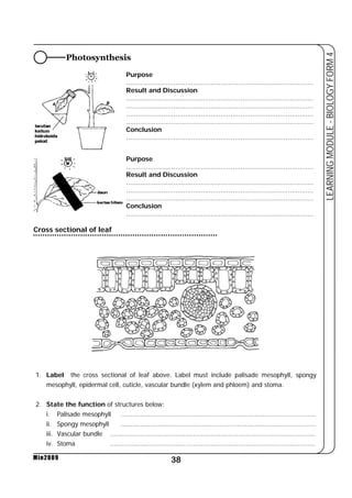 Photosynthesis 
1. Label the cross sectional of leaf above. Label must include palisade mesophyll, spongy 
mesophyll, epidermal cell, cuticle, vascular bundle (xylem and phloem) and stoma. 
i. Palisade mesophyll ................................................................................................... 
ii. Spongy mesophyll ................................................................................................... 
iii. Vascular bundle ........................................................................................................ 
iv. Stoma ........................................................................................................ 
38 
LEARNING MODULE - BIOLOGY FORM 4 
2. State the function of structures below: 
Min2009 
Purpose 
............................................................................................... 
Result and Discussion 
............................................................................................... 
............................................................................................... 
............................................................................................... 
............................................................................................... 
Conclusion 
............................................................................................... 
Purpose 
............................................................................................... 
Result and Discussion 
............................................................................................... 
............................................................................................... 
............................................................................................... 
Conclusion 
............................................................................................... 
Cross sectional of leaf 
 