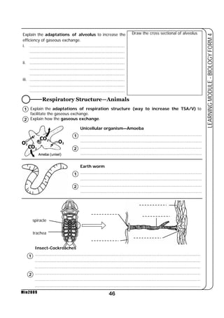 Explain the adaptations of alveolus to increase the 
efficiency of gaseous exchange. 
i. ............................................................................ 
............................................................................ 
............................................................................ 
ii. ............................................................................ 
............................................................................ 
............................................................................ 
iii. ............................................................................ 
............................................................................ 
............................................................................ 
Respiratory Structure—Animals 
Draw the cross sectional of alveolus 
Explain the adaptations of respiration structure (way to increase the TSA/V) to 
facilitate the gaseous exchange. 
Explain how the gaseous exchange. 
46 
LEARNING MODULE - BIOLOGY FORM 4 
Min2009 
Unicellular organism—Amoeba 
................................................................................................. 
................................................................................................. 
................................................................................................. 
................................................................................................. 
Earth worm 
................................................................................................. 
................................................................................................. 
................................................................................................. 
................................................................................................. 
spiracle 
trachea 
Insect-Cockroaches 
.................................................................................................................................... 
.................................................................................................................................... 
.................................................................................................................................... 
.................................................................................................................................... 
.................................................................................................................................... 
.................................................................................................................................... 
1 
2 
1 
2 
1 
2 
1 
2 
 