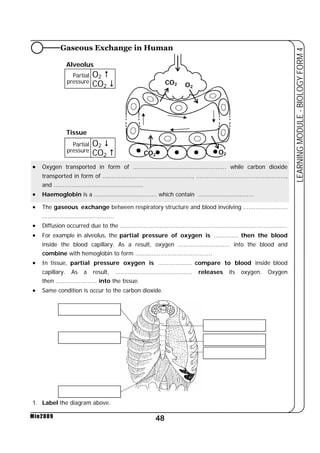 Gaseous Exchange in Human 
Alveolus 
• Oxygen transported in form of .................................................... while carbon dioxide 
transported in form of .................................................., .................................................., 
and .................................................. 
• Haemoglobin is a ................................... which contain ............................... 
• The gaseous exchange between respiratory structure and blood involving ......................... 
• Diffusion occurred due to the ............................................................................................. 
• For example in alveolus, the partial pressure of oxygen is .............. then the blood 
inside the blood capillary. As a result, oxygen ............................. into the blood and 
combine with hemoglobin to form ........................................... 
• In tissue, partial pressure oxygen is ................... compare to blood inside blood 
capillary. As a result, ........................................... releases its oxygen. Oxygen 
then ....................... into the tissue. 
• Same condition is occur to the carbon dioxide. 
48 
LEARNING MODULE - BIOLOGY FORM 4 
........................................ 
Min2009 
Partial 
pressure 
O2  
CO2  
Partial 
pressure 
O2  
CO2  
Tissue 
O2 
O2 
CO2 
CO2 
1. Label the diagram above. 
 