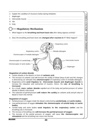 2. Explain the condition of structures below during inhalation. 
i. diaphragm ........................................................................................................... 
ii. intercostals muscle ........................................................................................................... 
iii. ribs ........................................................................................................... 
iv. lung ........................................................................................................... 
Regulatory Mechanism 
1. What happen to the breathing and heart beat rate after doing vigorous activity? 
......................................................................................................................................... 
2. Does the breathing and heart beat rate changed after reaction in 1? What happen? 
......................................................................................................................................... 
Regulation of carbon dioxide 
• Carbon dioxide in the blood is in form of carbonic acid. 
• The increase of carbonic acid will increase the acidity of blood (drop of pH) and this changes 
is detected by (or stimulate the) chemoreceptor of respiratory centre in medulla oblongata. 
• Respiratory centre send impulses to intercostals muscle and diaphragm muscle to 
increase the relaxation and contraction of muscles. Hence, the rate of breathing is 
increased. 
• As a result, more carbon dioxide expelled out of the body and partial pressure of carbon 
• The reduction of partial pressure will reduce the acidity (or carbonic acid) and pH value of 
Regulation of oxygen 
• Partial pressure of oxygen inside the blood is detected by carotid body and aortic bodies. 
• Low partial pressure of oxygen stimulate the chemoreceptor of carotid body and aortic 
• Carotid body and aortic bodies send impulses to the respiratory centre and the 
• The increase of breathing rate will increase the partial pressure of oxygen. 
• The increase of the partial pressure of oxygen, will cause the chemoreceptor not 
stimulated and the breathing rate return into normal. 
49 
LEARNING MODULE - BIOLOGY FORM 4 
dioxide in blood is decreased. 
blood is return into normal. 
bodies. 
breathing rate is increased. 
Min2009 
Respiratory centre 
Medulla oblongata 
Intercostals muscle 
Diaphragm 
Respiratory centre 
Chemoreceptor of medulla oblongata 
Chemoreceptor of carotid body 
Chemoreceptor of aortic bodies 
 