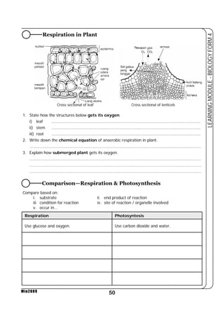 Respiration in Plant 
1. State how the structures below gets its oxygen. 
i) leaf ....................................................................................................................... 
ii) stem ....................................................................................................................... 
iii) root ....................................................................................................................... 
2. Write down the chemical equation of anaerobic respiration in plant. 
......................................................................................................................................... 
3. Explain how submerged plant gets its oxygen. 
......................................................................................................................................... 
......................................................................................................................................... 
......................................................................................................................................... 
Compare based on: 
i. substrate ii. end product of reaction 
iii. condition for reaction iv. site of reaction / organelle involved 
v. occur in... 
Respiration Photosyntesis 
Use glucose and oxygen. Use carbon dioxide and water. 
50 
LEARNING MODULE - BIOLOGY FORM 4 
Min2009 
Cross sectional of leaf Cross sectional of lenticels 
Comparison—Respiration  Photosynthesis 
 