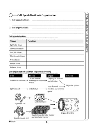 Cell Specialisation & Organisation 
1. Cell specialisation is ................................................................................................... 
......................................................................................................................................... 
......................................................................................................................................... 
2. Cell organisation is ................................................................................................... 
......................................................................................................................................... 
......................................................................................................................................... 
Cell Tissue Organ System 
5 
LEARNING MODULE - BIOLOGY FORM 4 
Tissue Function 
Epithelial tissue 
Connective tissue 
Vascular tissue 
Meristematic tissue 
Nerve tissue 
Muscle tissue 
Adipose tissue 
Smooth muscle cell 
Epithelial cell 
Min2009 
Circular muscle 
and longitudal 
muscle 
Endothelium 
Esophagus, stomach 
and intestine. 
Inner layer of 
intestine and enzyme 
gland 
Digestive system 
Epithelial cell 
Smooth muscle cell 
Epithelial tissue 
Muscle tissue (circular muscle 
and longitudal muscle ) 
Organ : Intestine 
Cell specialisation 
Cell organisation (animal—digestive system) 
 