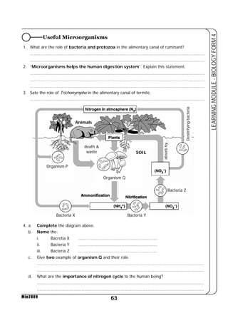 1. What are the role of bacteria and protozoa in the alimentary canal of ruminant? 
......................................................................................................................................... 
......................................................................................................................................... 
2. “Microorganisms helps the human digestion system”. Explain this statement. 
......................................................................................................................................... 
......................................................................................................................................... 
......................................................................................................................................... 
3. Sate the role of Trichonympha in the alimentary canal of termite. 
......................................................................................................................................... 
Organism Q 
i. Bacretia X .............................................................. 
ii. Bacteria Y .............................................................. 
iii. Bacteria Z .............................................................. 
c. Give two example of organism Q and their role. 
................................................................................................................................... 
................................................................................................................................... 
d. What are the importance of nitrogen cycle to the human being? 
................................................................................................................................... 
................................................................................................................................... 
63 
LEARNING MODULE - BIOLOGY FORM 4 
4. a. Complete the diagram above. 
b. Name the: 
Min2009 
Useful Microorganisms 
Denitrifying bacteria 
death  
waste 
Organism P 
Bacteria X Bacteria Y 
Bacteria Z 
Animals 
SOIL 
absorb by... 
 
