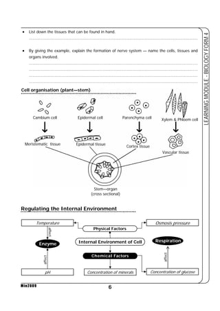 Cambium cell Epidermal cell Parenchyma cell Xylem & Phloem cell 
Meristematic tissue Epidermal tissue Cortex tissue 
Temperature Osmosis pressure 
Physical Factors 
6 
LEARNING MODULE - BIOLOGY FORM 4 
Min2009 
Vascular tissue 
Stem—organ 
(cross sectional) 
Cell organisation (plant—stem) 
Regulating the Internal Environment 
Internal Environment of Cell 
Chemical Factors 
Respiration 
affect 
Enzyme 
affect 
pH Concentration of minerals 
affect 
Concentration of glucose 
• List down the tissues that can be found in hand. 
......................................................................................................................................... 
• By giving the example, explain the formation of nerve system — name the cells, tissues and 
organs involved. 
......................................................................................................................................... 
......................................................................................................................................... 
......................................................................................................................................... 
......................................................................................................................................... 
 