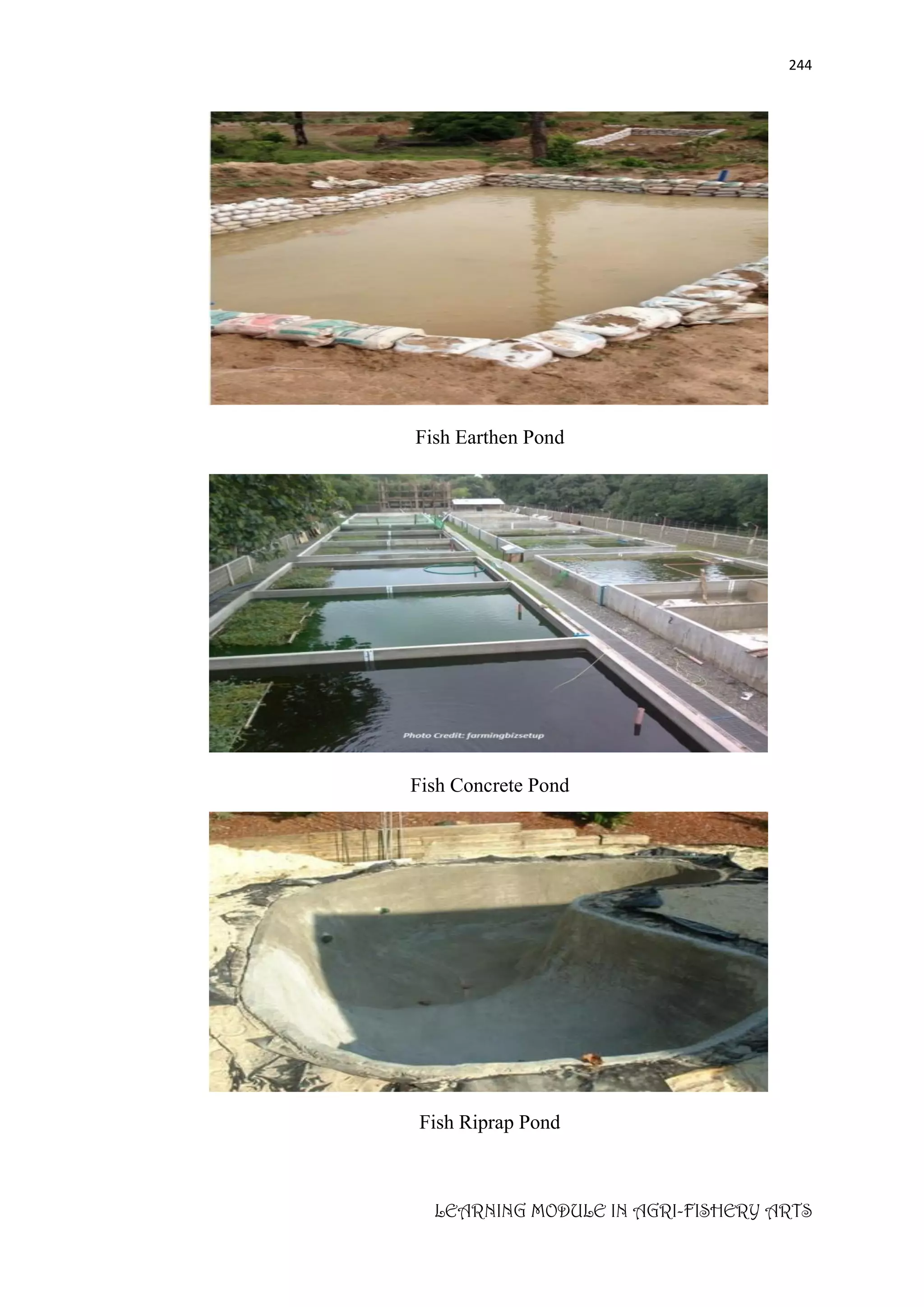 LEARNING_MODULE_IN_AGRI_FISHERY_ARTS_AGR.pdf