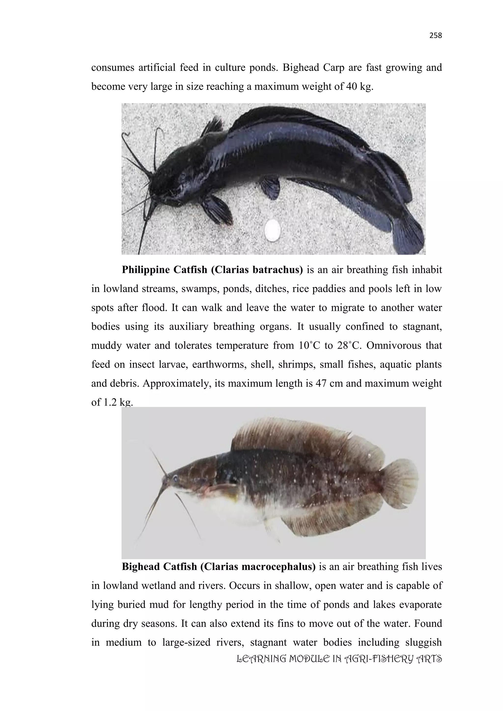 LEARNING_MODULE_IN_AGRI_FISHERY_ARTS_AGR.pdf