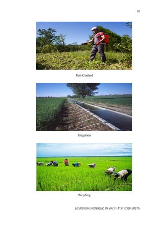 92
LEARNING MODULE IN AGRI-FISHERY ARTS
Pest Control
Irrigation
Weeding
 