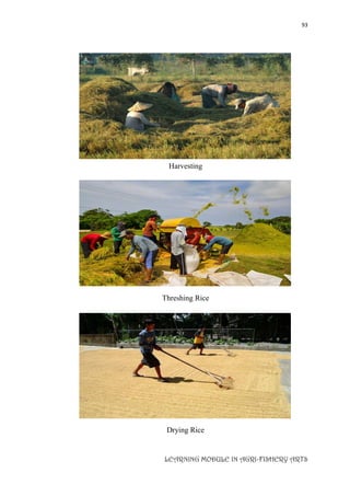 93
LEARNING MODULE IN AGRI-FISHERY ARTS
Harvesting
Threshing Rice
Drying Rice
 