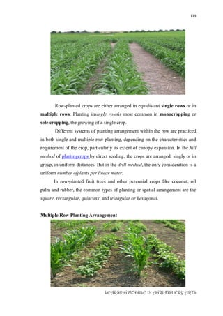 139
LEARNING MODULE IN AGRI-FISHERY ARTS
Row-planted crops are either arranged in equidistant single rows or in
multiple rows. Planting insingle rowsis most common in monocropping or
sole cropping, the growing of a single crop.
Different systems of planting arrangement within the row are practiced
in both single and multiple row planting, depending on the characteristics and
requirement of the crop, particularly its extent of canopy expansion. In the hill
method of plantingcrops by direct seeding, the crops are arranged, singly or in
group, in uniform distances. But in the drill method, the only consideration is a
uniform number ofplants per linear meter.
In row-planted fruit trees and other perennial crops like coconut, oil
palm and rubber, the common types of planting or spatial arrangement are the
square, rectangular, quincunx, and triangular or hexagonal.
Multiple Row Planting Arrangement
 