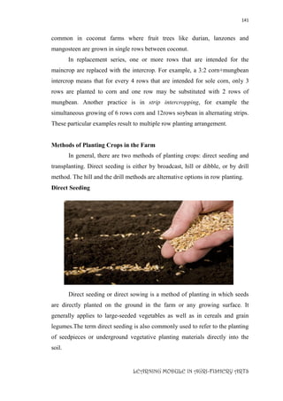 141
LEARNING MODULE IN AGRI-FISHERY ARTS
common in coconut farms where fruit trees like durian, lanzones and
mangosteen are grown in single rows between coconut.
In replacement series, one or more rows that are intended for the
maincrop are replaced with the intercrop. For example, a 3:2 corn+mungbean
intercrop means that for every 4 rows that are intended for sole corn, only 3
rows are planted to corn and one row may be substituted with 2 rows of
mungbean. Another practice is in strip intercropping, for example the
simultaneous growing of 6 rows corn and 12rows soybean in alternating strips.
These particular examples result to multiple row planting arrangement.
Methods of Planting Crops in the Farm
In general, there are two methods of planting crops: direct seeding and
transplanting. Direct seeding is either by broadcast, hill or dibble, or by drill
method. The hill and the drill methods are alternative options in row planting.
Direct Seeding
Direct seeding or direct sowing is a method of planting in which seeds
are directly planted on the ground in the farm or any growing surface. It
generally applies to large-seeded vegetables as well as in cereals and grain
legumes.The term direct seeding is also commonly used to refer to the planting
of seedpieces or underground vegetative planting materials directly into the
soil.
 