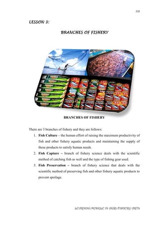 210
LEARNING MODULE IN AGRI-FISHERY ARTS
LESSON 3:
BRANCHES OF FISHERY
BRANCHES OF FISHERY
There are 3 branches of fishery and they are follows:
1. Fish Culture – the human effort of raising the maximum productivity of
fish and other fishery aquatic products and maintaining the supply of
these products to satisfy human needs.
2. Fish Capture – branch of fishery science deals with the scientific
method of catching fish as well and the type of fishing gear used.
3. Fish Preservation – branch of fishery science that deals with the
scientific method of preserving fish and other fishery aquatic products to
prevent spoilage.
 