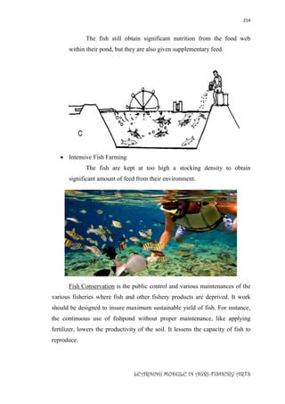 214
LEARNING MODULE IN AGRI-FISHERY ARTS
The fish still obtain significant nutrition from the food web
within their pond, but they are also given supplementary feed.
 Intensive Fish Farming
The fish are kept at too high a stocking density to obtain
significant amount of feed from their environment.
Fish Conservation is the public control and various maintenances of the
various fisheries where fish and other fishery products are deprived. It work
should be designed to insure maximum sustainable yield of fish. For instance,
the continuous use of fishpond without proper maintenance, like applying
fertilizer, lowers the productivity of the soil. It lessens the capacity of fish to
reproduce.
 