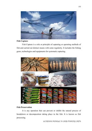 215
LEARNING MODULE IN AGRI-FISHERY ARTS
Fish Capture
Fish Capture is a rule or principle of capturing or operating methods of
fish and carried out distinct means with some regularity. It includes the fishing
gears, technologies and equipments for systematic capturing.
Fish Preservation
It is any operation that can prevent or inhibit the natural process of
breakdown or decomposition taking place in the fish. It is known as fish
processing.
 