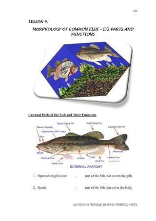 217
LEARNING MODULE IN AGRI-FISHERY ARTS
LESSON 4:
MORPHOLOGY OF COMMON FISH – ITS PARTS AND
FUNCTIONS
External Parts of the Fish and Their Functions
1. Operculum/gill cover - part of the fish that covers the gills
2. Scales - part of the fish that cover the body
 