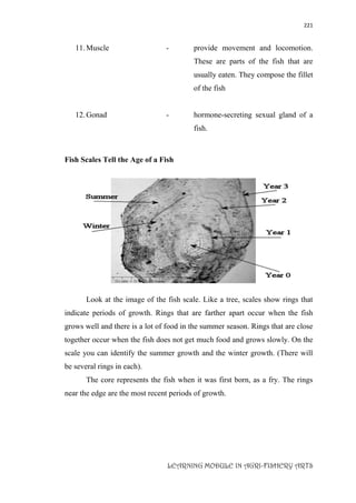 221
LEARNING MODULE IN AGRI-FISHERY ARTS
11.Muscle - provide movement and locomotion.
These are parts of the fish that are
usually eaten. They compose the fillet
of the fish
12.Gonad - hormone-secreting sexual gland of a
fish.
Fish Scales Tell the Age of a Fish
Look at the image of the fish scale. Like a tree, scales show rings that
indicate periods of growth. Rings that are farther apart occur when the fish
grows well and there is a lot of food in the summer season. Rings that are close
together occur when the fish does not get much food and grows slowly. On the
scale you can identify the summer growth and the winter growth. (There will
be several rings in each).
The core represents the fish when it was first born, as a fry. The rings
near the edge are the most recent periods of growth.
 