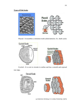 222
LEARNING MODULE IN AGRI-FISHERY ARTS
Types of Fish Scales
Placoid - It resembles a miniature tooth called denticles. Ex. shark scales
Cycloid - It is oval or circular in outline and has a smooth and exposed
rear edge.
 