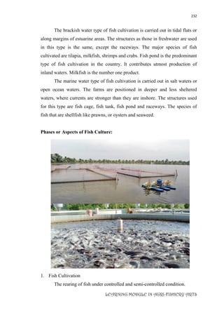232
LEARNING MODULE IN AGRI-FISHERY ARTS
The brackish water type of fish cultivation is carried out in tidal flats or
along margins of estuarine areas. The structures as those in freshwater are used
in this type is the same, except the raceways. The major species of fish
cultivated are tilapia, milkfish, shrimps and crabs. Fish pond is the predominant
type of fish cultivation in the country. It contributes utmost production of
inland waters. Milkfish is the number one product.
The marine water type of fish cultivation is carried out in salt waters or
open ocean waters. The farms are positioned in deeper and less sheltered
waters, where currents are stronger than they are inshore. The structures used
for this type are fish cage, fish tank, fish pond and raceways. The species of
fish that are shellfish like prawns, or oysters and seaweed.
Phases or Aspects of Fish Culture:
1. Fish Cultivation
The rearing of fish under controlled and semi-controlled condition.
 