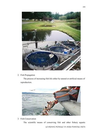 233
LEARNING MODULE IN AGRI-FISHERY ARTS
2. Fish Propagation
The process of increasing fish life either by natural or artificial means of
reproduction.
3. Fish Conservation
The scientific means of conserving fish and other fishery aquatic
 