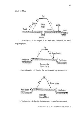 247
LEARNING MODULE IN AGRI-FISHERY ARTS
Kinds of Dikes
1. Main dike – is the largest of all dikes that surrounds the whole
fishpond project.
2. Secondary dike – is the dike that surrounds the big compartment.
3. Tertiary dike – is the dike that surrounds the small compartment.
 