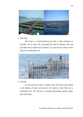 249
LEARNING MODULE IN AGRI-FISHERY ARTS
2. Fish Cage
Fish Cage is a structured-based net that is ether stationary or
movable. Set in water and surrounded all sides by bamboo slats and
provided with an anchor at the bottom. It is used for the culture of fish
from fry to marketable size.
3. Fish Pen
It is an enclosure of net or bamboo slats with sturdy posts staked
at the bottom of water and used for the culture of fish from fry to
marketable size. The fish pen is fastened permanently against sturdy
post and frames.
 