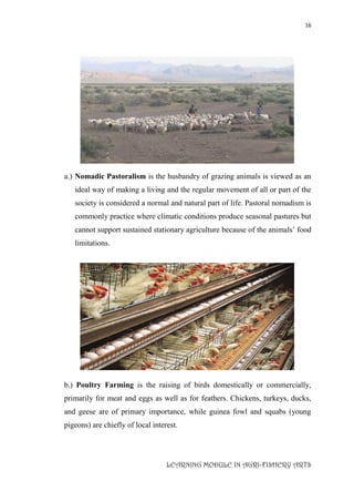 16
LEARNING MODULE IN AGRI-FISHERY ARTS
a.) Nomadic Pastoralism is the husbandry of grazing animals is viewed as an
ideal way of making a living and the regular movement of all or part of the
society is considered a normal and natural part of life. Pastoral nomadism is
commonly practice where climatic conditions produce seasonal pastures but
cannot support sustained stationary agriculture because of the animals’ food
limitations.
b.) Poultry Farming is the raising of birds domestically or commercially,
primarily for meat and eggs as well as for feathers. Chickens, turkeys, ducks,
and geese are of primary importance, while guinea fowl and squabs (young
pigeons) are chiefly of local interest.
 