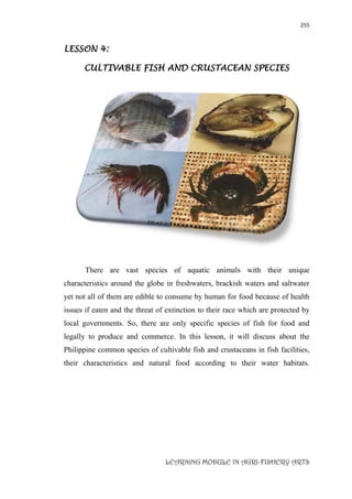 255
LEARNING MODULE IN AGRI-FISHERY ARTS
LESSON 4:
CULTIVABLE FISH AND CRUSTACEAN SPECIES
There are vast species of aquatic animals with their unique
characteristics around the globe in freshwaters, brackish waters and saltwater
yet not all of them are edible to consume by human for food because of health
issues if eaten and the threat of extinction to their race which are protected by
local governments. So, there are only specific species of fish for food and
legally to produce and commerce. In this lesson, it will discuss about the
Philippine common species of cultivable fish and crustaceans in fish facilities,
their characteristics and natural food according to their water habitats.
 