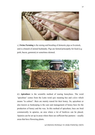 17
LEARNING MODULE IN AGRI-FISHERY ARTS
c.) Swine Farming is the raising and breeding of domestic pigs as livestock,
and is a branch of animal husbandry. Pigs are farmed principally for food (e.g.
pork, bacon, gammon) or sometimes skinned.
d.) Apiculture is the scientific method of rearing honeybees. The word
‘apiculture’ comes from the Latin word apis meaning bee and colere which
means “to culture”. Bees are mainly reared for their honey. So, apiculture or
also known as beekeeping is the care and management of honey bees for the
production of honey and the wax. In this method of apiculture, bees are bred
commercially in apiaries, an area where a lot of beehives can be placed.
Apiaries can be set up in areas where there are sufficient bee pastures – usually
areas that have flowering plants.
 