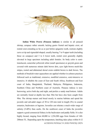 267
LEARNING MODULE IN AGRI-FISHERY ARTS
Indian White Prawn (Penaeus indicus) is similar to all penaeid
shrimp, carapace rather smooth, lacking gastro frontal and hepatic crest, ad
rostral crest extending as far as or just before epigastric tooth, rostrum slightly
curve at tip and sigmoidal-shaped, usually bearing 7 to 9 upper teeth (including
those on carapace) and 3 to 6 lower teeth, rostral crest generally slightly
elevated in large specimen including adult females. Its body color is semi-
translucent, somewhat yellowish white (small specimens) or greyish green and
covered with numerous minute dark brown dots, eyes light brown mesh-like
stripes, rostral and abdominal dorsal crests reddish brown to dark brown. The
methods of brackish water aquaculture are applied whether in cultures practices
followed such as traditional, extensive, modified extensive, semi-intensive or
intensive. It inhabits the coast of East and South Africa, Southwest and East
coast of India, Bangladesh, Thailand, Malaysia, Philippines, Indonesia,
Southern China and Northern coast of Australia. Penaeus indicus is non-
burrowing, active both day and night, and prefers a sandy mud bottom. Adults
are normally found at depths less than 30m but have also been caught from
90m. The shrimp mature and breed mostly in marine habitats and spend the
juvenile and sub-adult stages of 30 to 120 mm total in length (TL) in coastal
estuaries, backwaters or lagoons. Juveniles can tolerate a much wider range of
salinity (5-40%) than asults. On the southwest coast of India the juveniles
support a good commercial fishery in the backwaters and paddy fields. It is also
highly fecund, ranging from 68,000 to 1,254,200 eggs from females of 140-
200mm TL. Depending upon the temperature, hatching takes place within 8-12
 