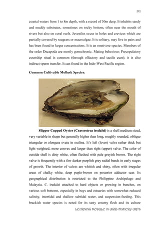 272
LEARNING MODULE IN AGRI-FISHERY ARTS
coastal waters from 1 to 8m depth, with a record of 50m deep. It inhabits sandy
and muddy substrates, sometimes on rocky bottom, often near the mouth of
rivers but also on coral reefs. Juveniles occur in holes and crevices which are
partially covered by seagrass or macroalgae. It is solitary, may live in pairs and
has been found in larger concentrations. It is an omnivore species. Members of
the order Decapoda are mostly gonochronic. Mating behaviour: Precopulatory
courtship ritual is common (through olfactory and tactile cues); it is also
indirect sperm transfer. It can found in the Indo-West Pacific region.
Common Cultivable Mollusk Species:
Slipper Cupped Oyster (Crassostrea iredalei) is a shell medium sized,
very variable in shape but generally higher than long, roughly rounded, oblique
triangular or elongate ovate in outline. It’s left (lover) valve rather thick but
light weighted, more convex and larger than right (upper) valve. The color of
outside shell is dirty white, often flushed with pale greyish brown. The right
valve is frequently with a few darker purplish grey radial bands in early stages
of growth. The interior of valves are whitish and shiny, often with irregular
areas of chalky white, deep puple-brown on posterior adductor scar. Its
geographical distribution is restricted to the Philippine Archipelago and
Malaysia. C. iredalei attached to hard objects or growing in bunches, on
various soft bottoms, especially in bays and estuaries with somewhat reduced
salinity, intertidal and shallow subtidal water, and suspension-feeding. This
brackish water species is noted for its tasty creamy flesh and its culture
 