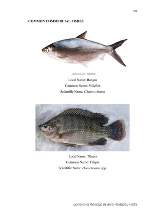 319
LEARNING MODULE IN AGRI-FISHERY ARTS
COMMON COMMERCIAL FISHES
Local Name: Bangus
Common Name: Milkfish
Scientific Name: Chanos chanos
Local Name: Tilapia
Common Name: Tilapia
Scientific Name: Oreochromis spp.
 