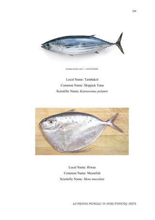 324
LEARNING MODULE IN AGRI-FISHERY ARTS
Local Name: Tambakol
Common Name: Skipjack Tuna
Scientific Name: Katsuwonus pelamis
Local Name: Hiwas
Common Name: Moonfish
Scientific Name: Mene maculate
 