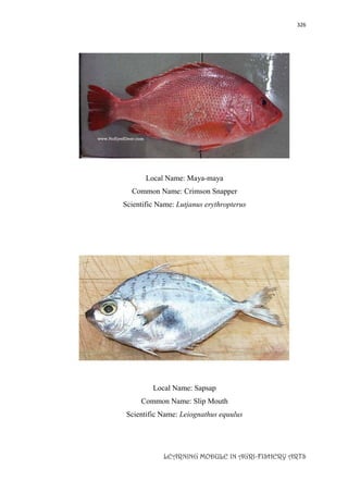 326
LEARNING MODULE IN AGRI-FISHERY ARTS
Local Name: Maya-maya
Common Name: Crimson Snapper
Scientific Name: Lutjanus erythropterus
Local Name: Sapsap
Common Name: Slip Mouth
Scientific Name: Leiognathus equulus
 