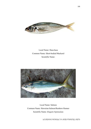 328
LEARNING MODULE IN AGRI-FISHERY ARTS
Local Name: Hasa-hasa
Common Name: Short-bodied Mackerel
Scientific Name:
Local Name: Salmon
Common Name: Hawaiian Salmon/Rainbow Runner
Scientific Name: Elagatis bipinnulata
 