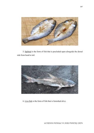 347
LEARNING MODULE IN AGRI-FISHERY ARTS
5. Splitted is the form of fish that is precluded open alongside the dorsal
side from head to tail.
6. Live fish is the form of fish that is furnished alive.
 