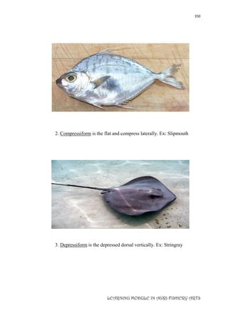 350
LEARNING MODULE IN AGRI-FISHERY ARTS
2. Compressiform is the flat and compress laterally. Ex: Slipmouth
3. Depressiform is the depressed dorsal vertically. Ex: Stringray
 