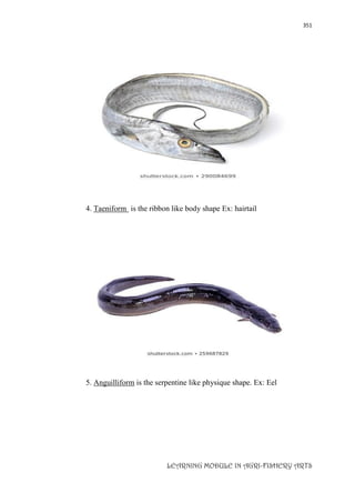 351
LEARNING MODULE IN AGRI-FISHERY ARTS
4. Taeniform is the ribbon like body shape Ex: hairtail
5. Anguilliform is the serpentine like physique shape. Ex: Eel
 