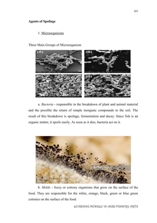 357
LEARNING MODULE IN AGRI-FISHERY ARTS
Agents of Spoilage
1. Microorganisms
Three Main Groups of Microorganism
a. Bacteria - responsible in the breakdown of plant and animal material
and the possible the return of simple inorganic compounds to the soil. The
result of this breakdown is spoilage, fermentation and decay. Since fish is an
organic matter, it spoils easily. As soon as it dies, bacteria act on it.
b. Molds - fuzzy or cottony organisms that grow on the surface of the
food. They are responsible for the white, orange, black, green or blue green
colonies on the surface of the food.
 